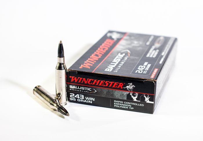 Winchester Ballistic Silvertip Ammunition 243 Winchester 95 Grain 