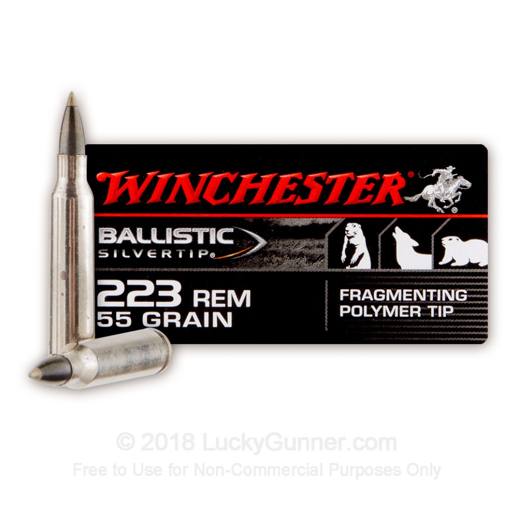 Winchester Ballistic Silvertip Varmint Ammunition 223 Remington 55 Grain Fragmenting Polymer Tip
