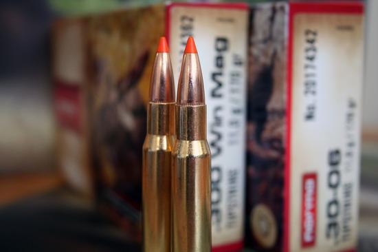 300 Win Mag Norma TIPSTRIKE 170 gr