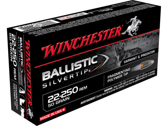 22-250 Rem 50g Winchester Ballistic Silvertip